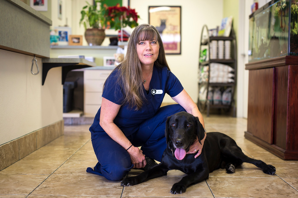Kim- veterinary technician at Topaz Veterinary Clinic in Tempe, AZ Kim- veterinary technician at Topaz Veterinary Clinic in Tempe, AZ