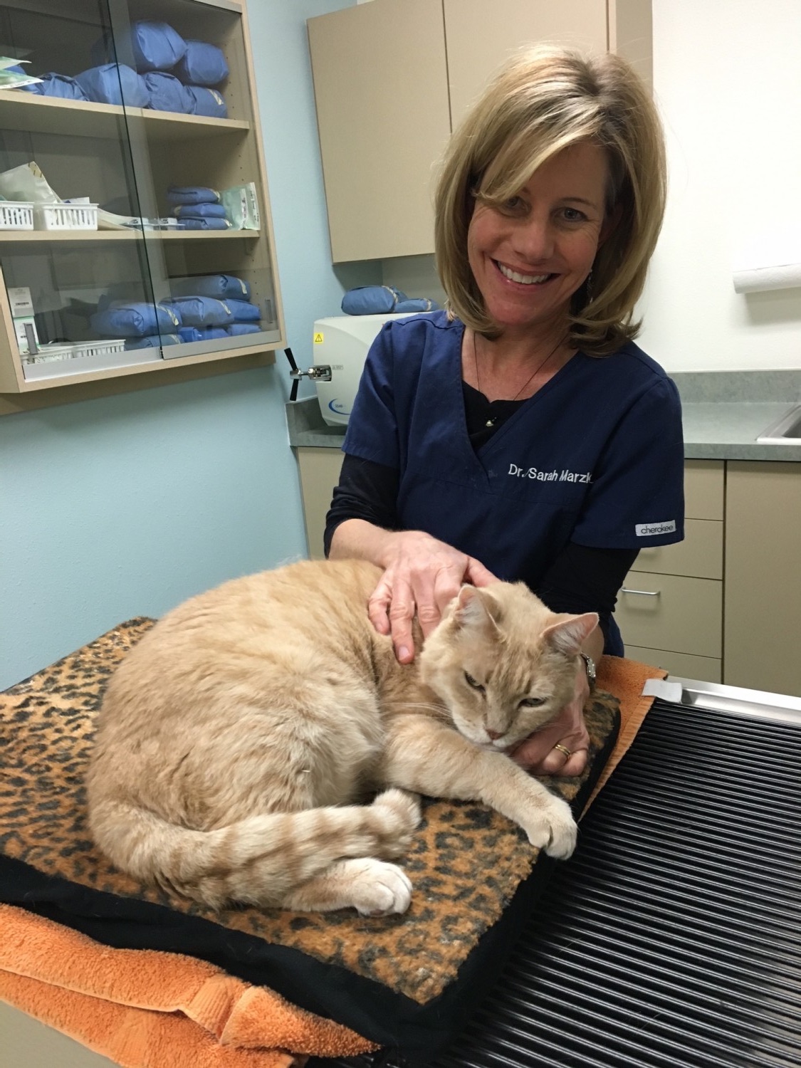 Doctor with Yellow Cat