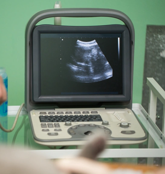 Cat Diagnostic / Laboratory Testing